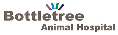 Veterinarian in Oxford, MS | Bottletree Animal Hospital