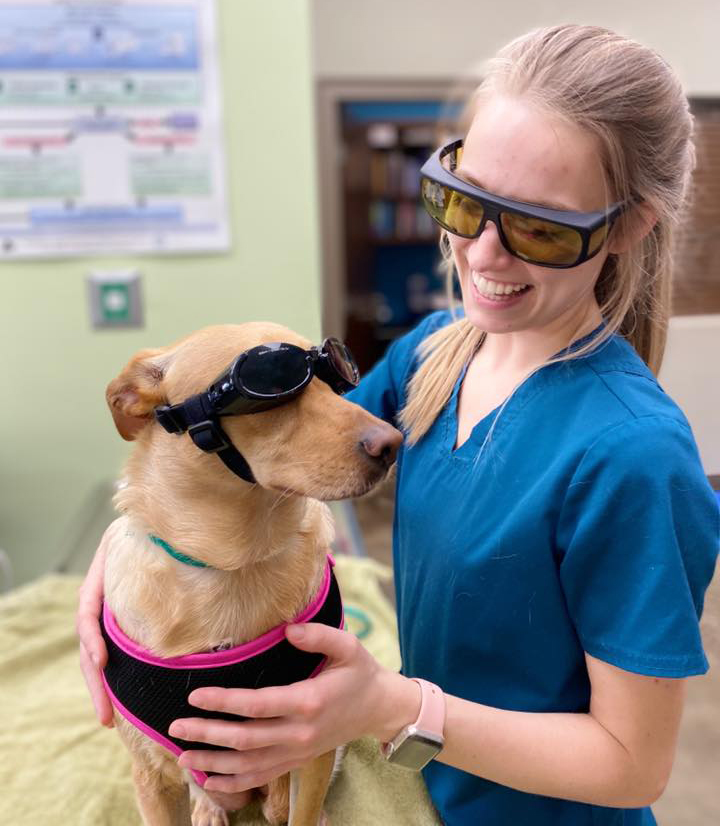Staff With Dog And Goggles