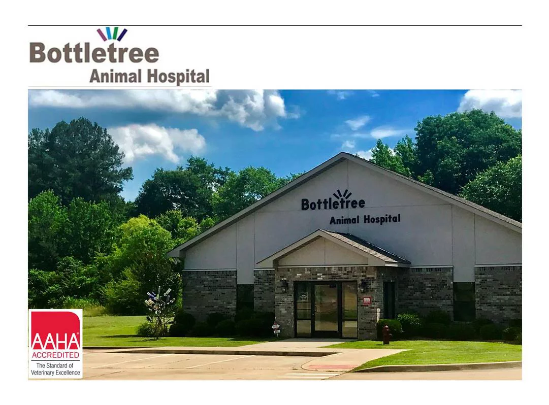 Bottletree Animal Hospital New