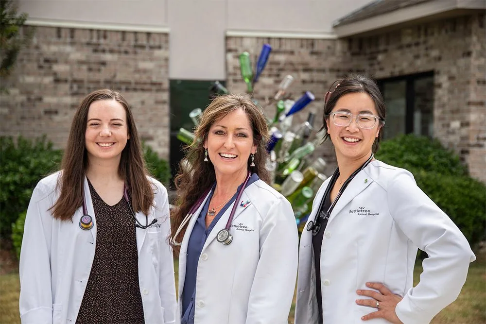 Three Veterinarians In Oxford Ms Three Veterinarians In Oxford Ms
