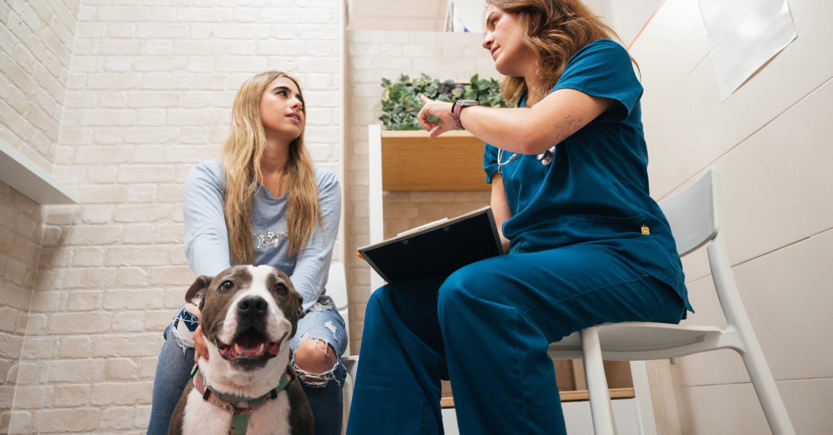 female dog owner talking with female vet about bladder stone removal in dogs at the clinic