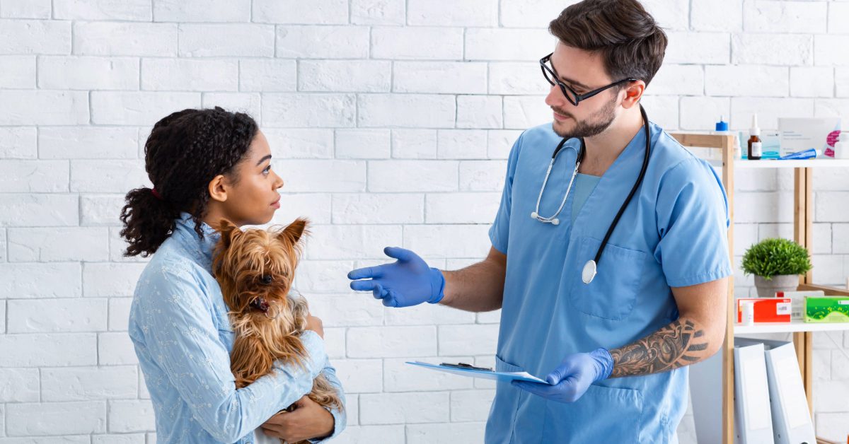female dog owner holding small dog in her arms while talking with male vet about dog spleen removal at clinic