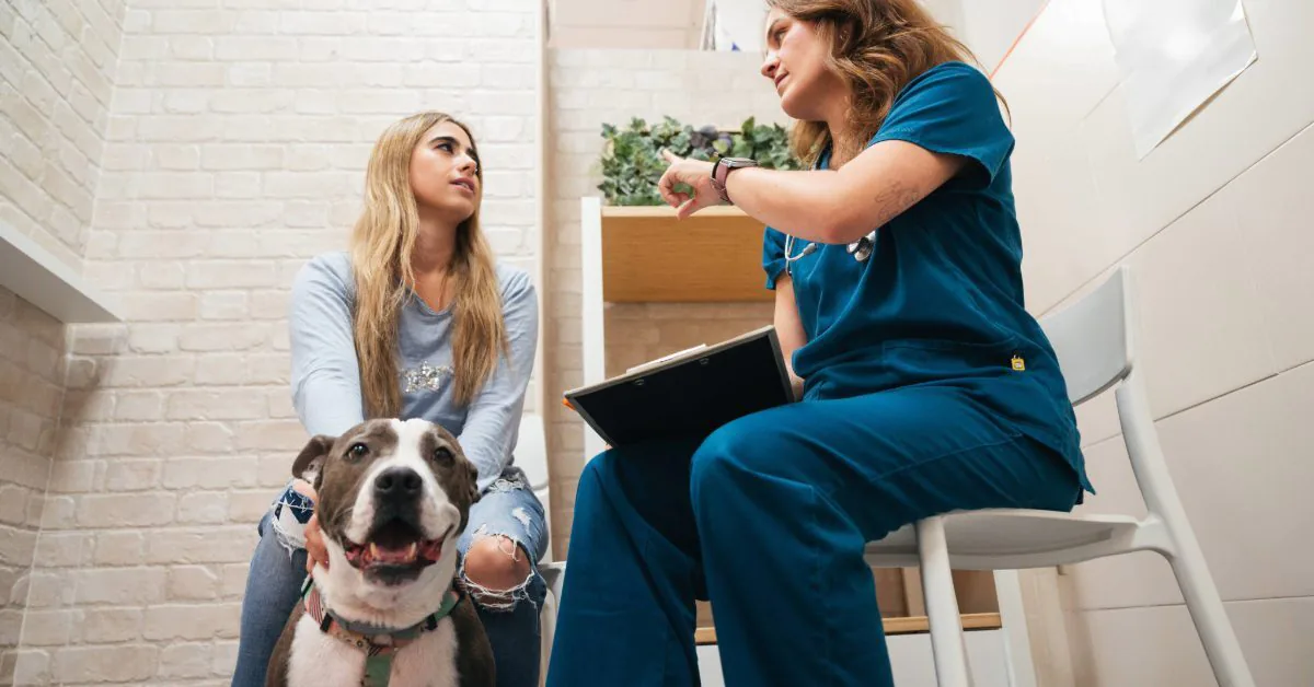 female dog owner talking with female vet about bladder stone removal in dogs at the clinic