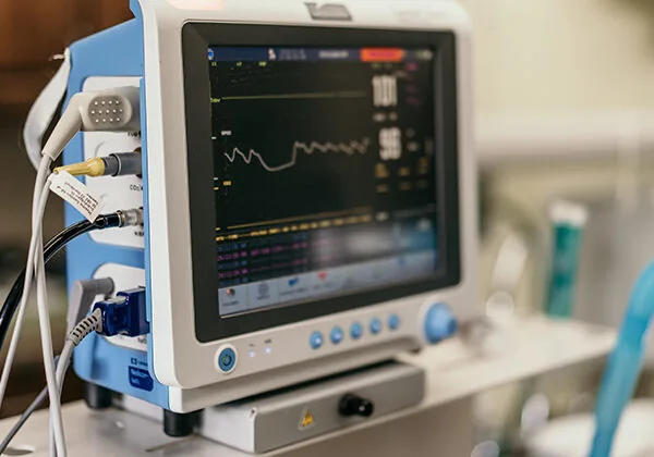 Dog Surgery Heart Monitor