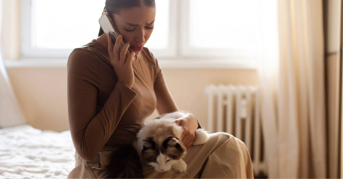 female owner holding cat in her lap while on the phone with her vet discussing treatment for removing lumps on cat's skin